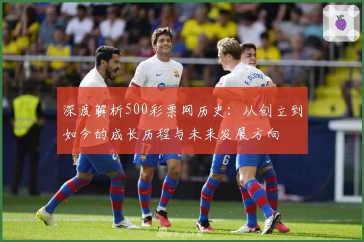 深度解析500彩票网历史：从创立到如今的成长历程与未来发展方向