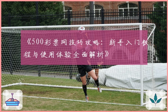 《500彩票网技巧攻略:新手入门教程与使用体验全面解析》