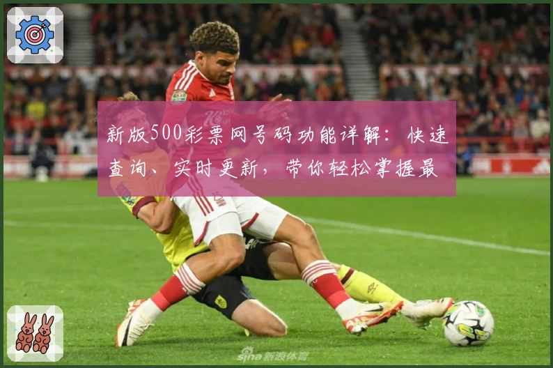 新版500彩票网号码功能详解：快速查询、实时更新，带你轻松掌握最新动态