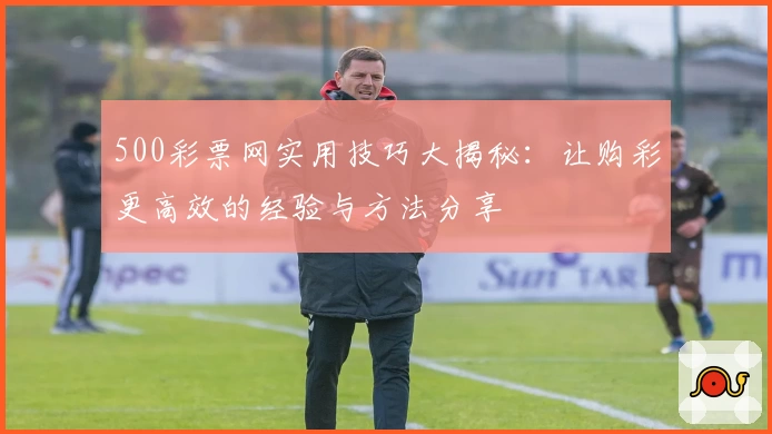 500彩票网实用技巧大揭秘:让购彩更高效的经验与方法分享