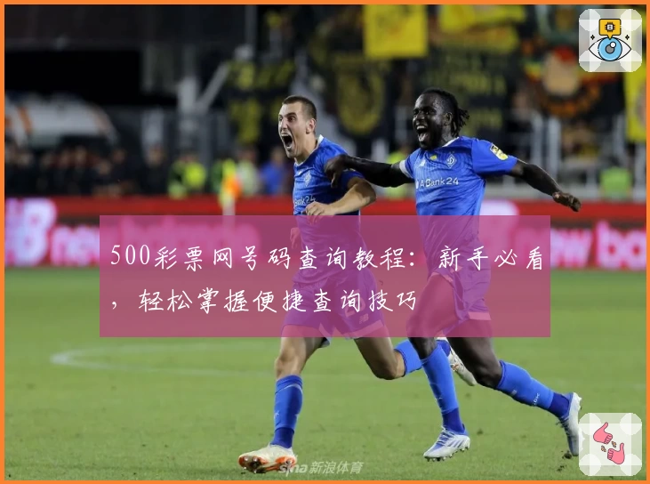 500彩票网号码查询教程：新手必看，轻松掌握便捷查询技巧