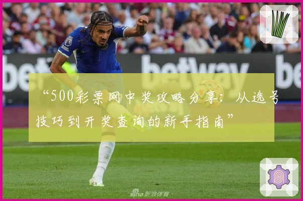 “500彩票网中奖攻略分享：从选号技巧到开奖查询的新手指南”