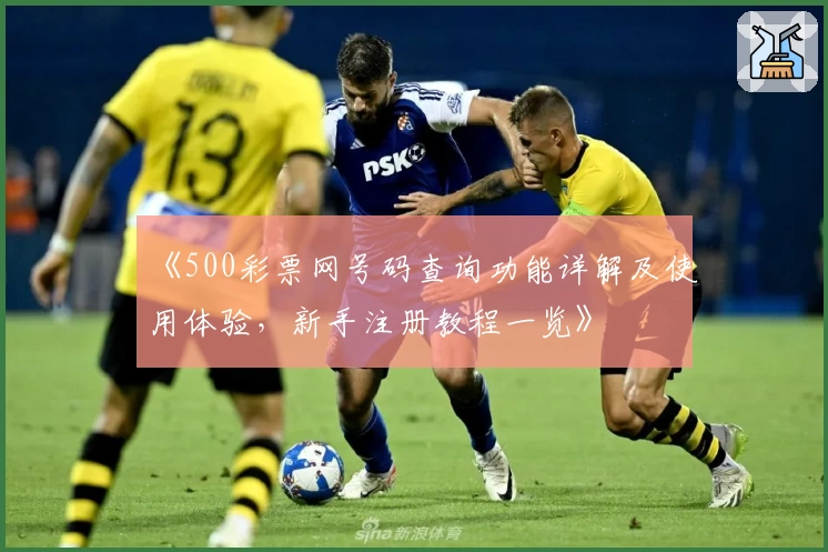 《500彩票网号码查询功能详解及使用体验，新手注册教程一览》