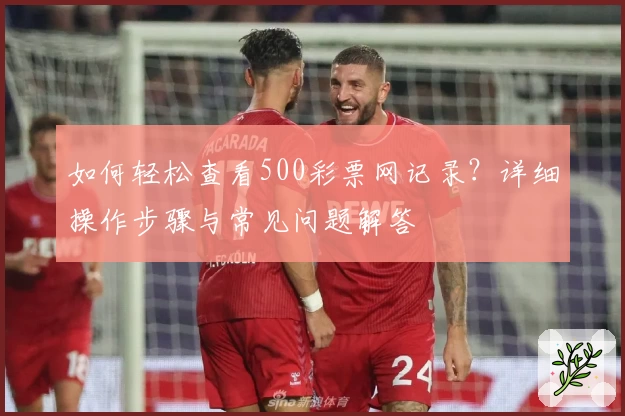 如何轻松查看500彩票网记录？详细操作步骤与常见问题解答